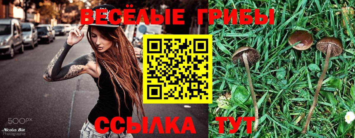 Псилоцибиновые грибы ЛСД Камышлов
