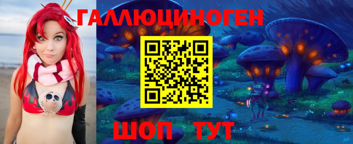 Камышлов  Псилоцибиновые грибы мухоморы  Вход с VPN 
